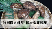 特別限定料理「国産松茸料理」
