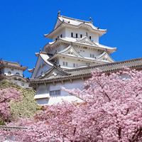 姫路城（桜）
